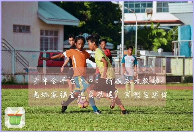 金年会平台入口：新版本大改动，老玩家福音还是劝退？实测告诉你收益几何！